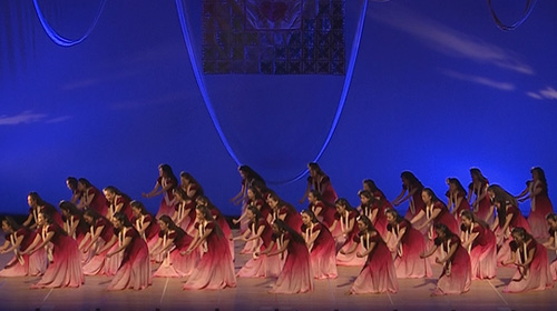 タヒチアンダンス・フラダンスホイケの撮影に精通したビデオカメラマン